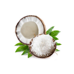 Coconut