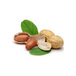 Peanuts